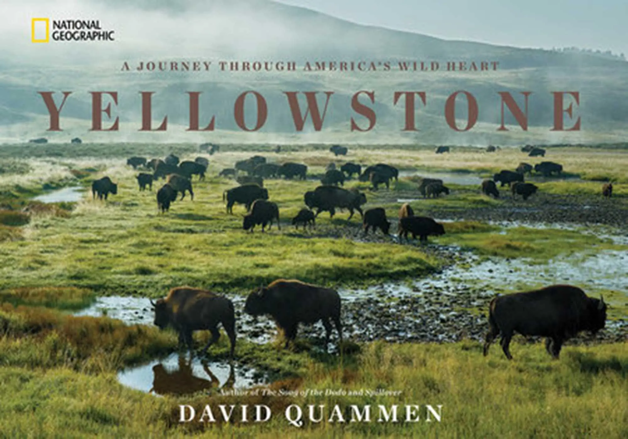 Cover: 9781426217548 | Yellowstone | A Journey Through America's Wild Heart | David Quammen