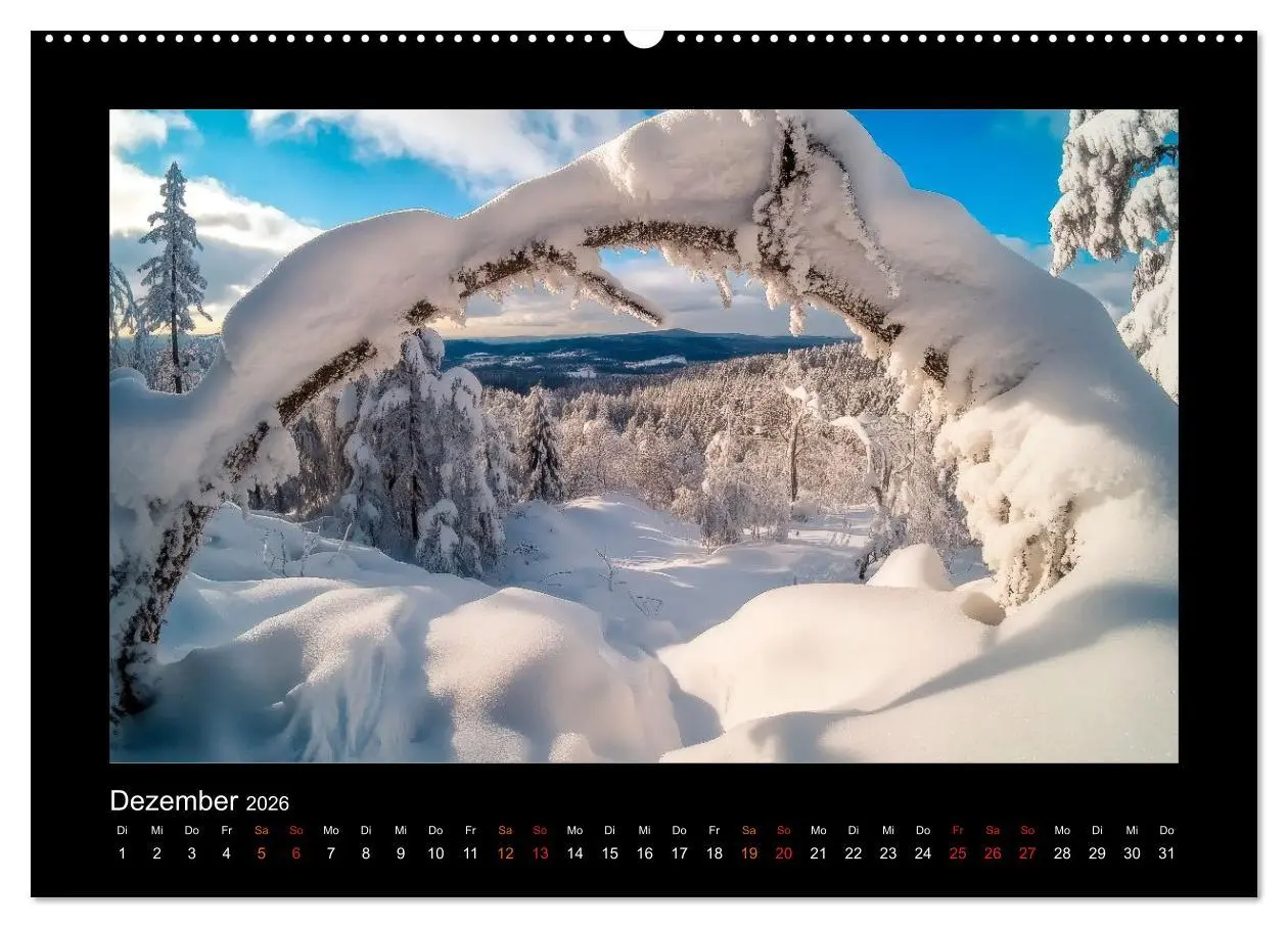 Bild: 9783457257548 | Geheimnisvolle Wildnis Deutschlands (Wandkalender 2026 DIN A2...