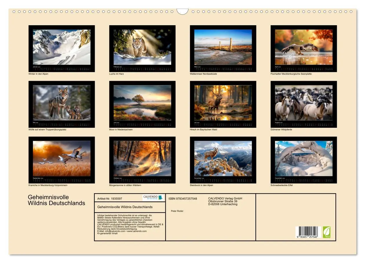 Bild: 9783457257548 | Geheimnisvolle Wildnis Deutschlands (Wandkalender 2026 DIN A2...