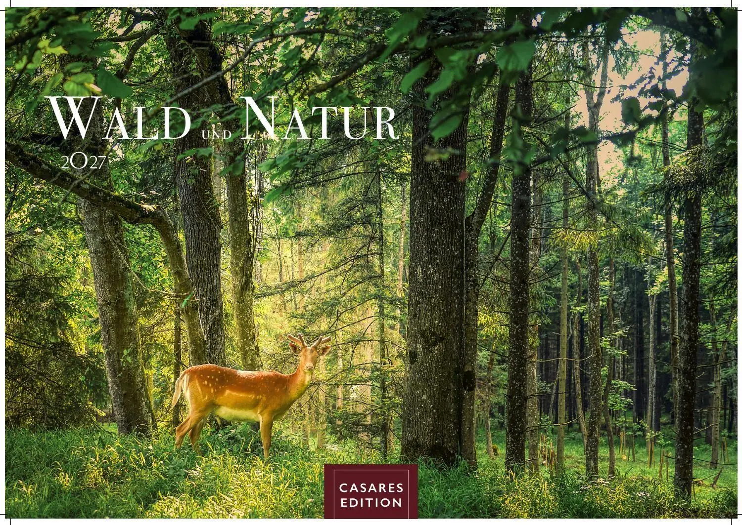 Cover: 9781835247648 | Wald &amp; Natur Kalender 2027 - Wandkalender Fotokalender...