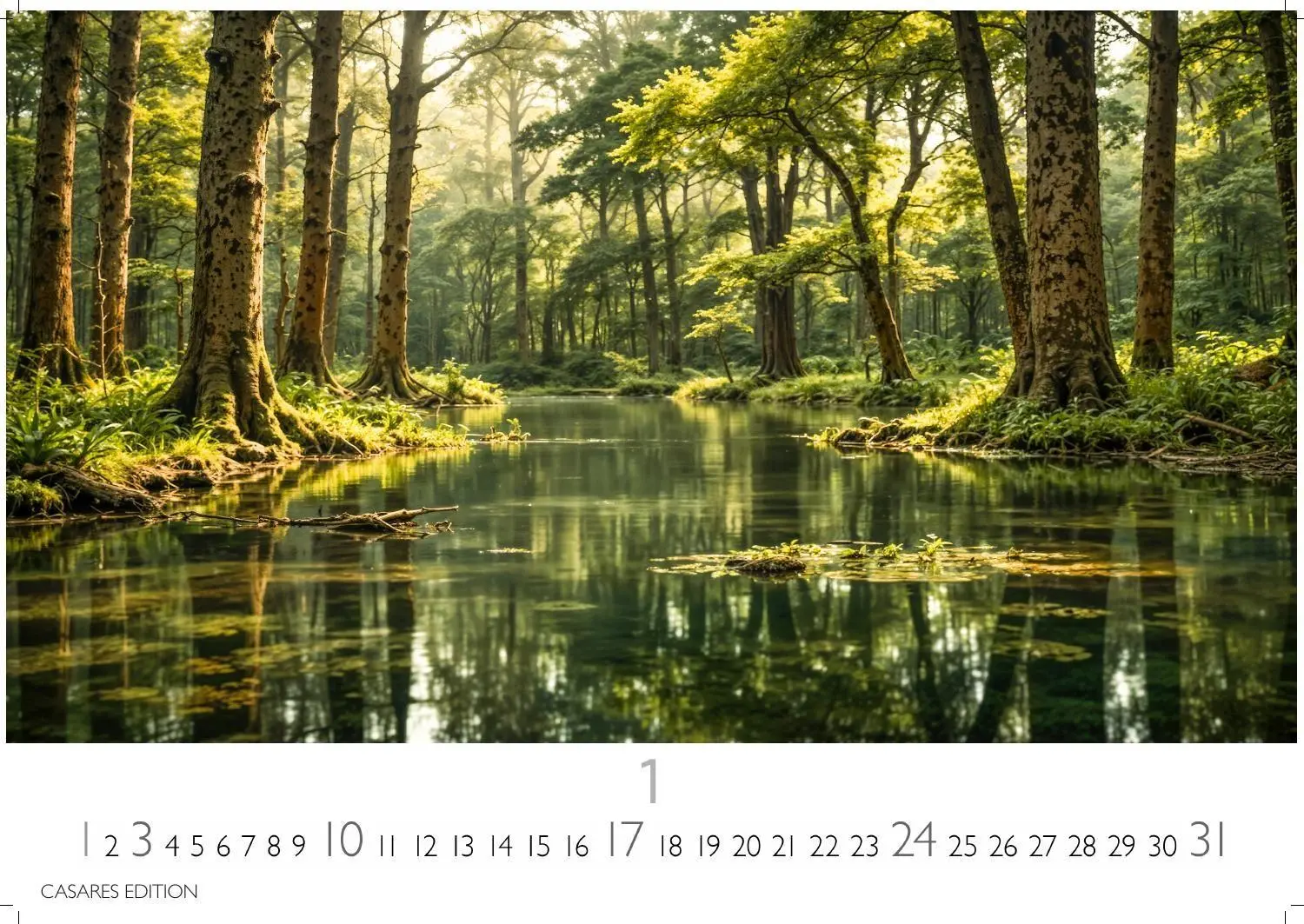 Bild: 9781835247648 | Wald &amp; Natur Kalender 2027 - Wandkalender Fotokalender...