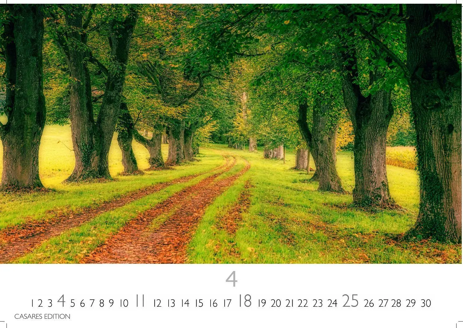 Bild: 9781835247648 | Wald &amp; Natur Kalender 2027 - Wandkalender Fotokalender...