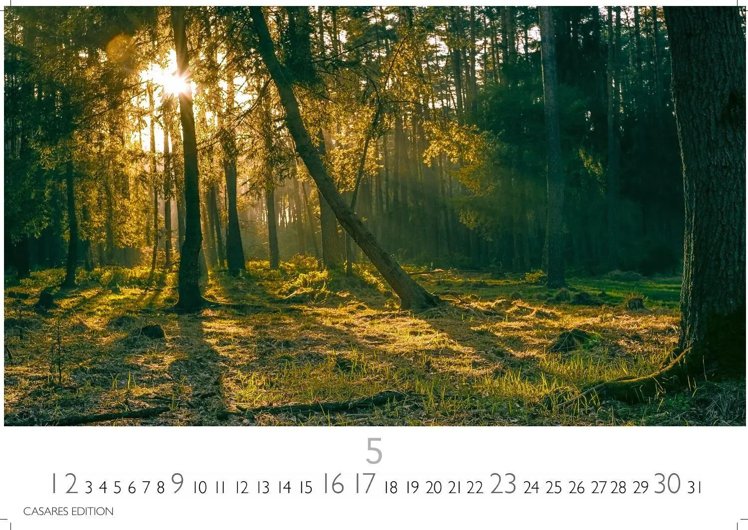 Bild: 9781835247648 | Wald &amp; Natur Kalender 2027 - Wandkalender Fotokalender...