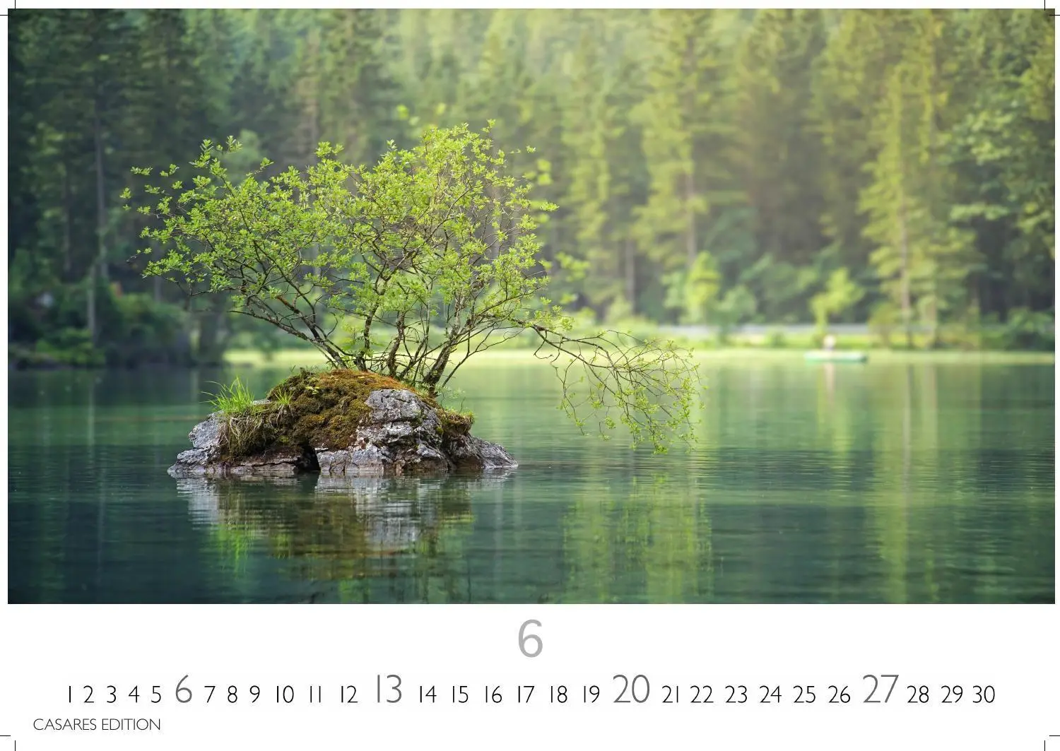 Bild: 9781835247648 | Wald &amp; Natur Kalender 2027 - Wandkalender Fotokalender...