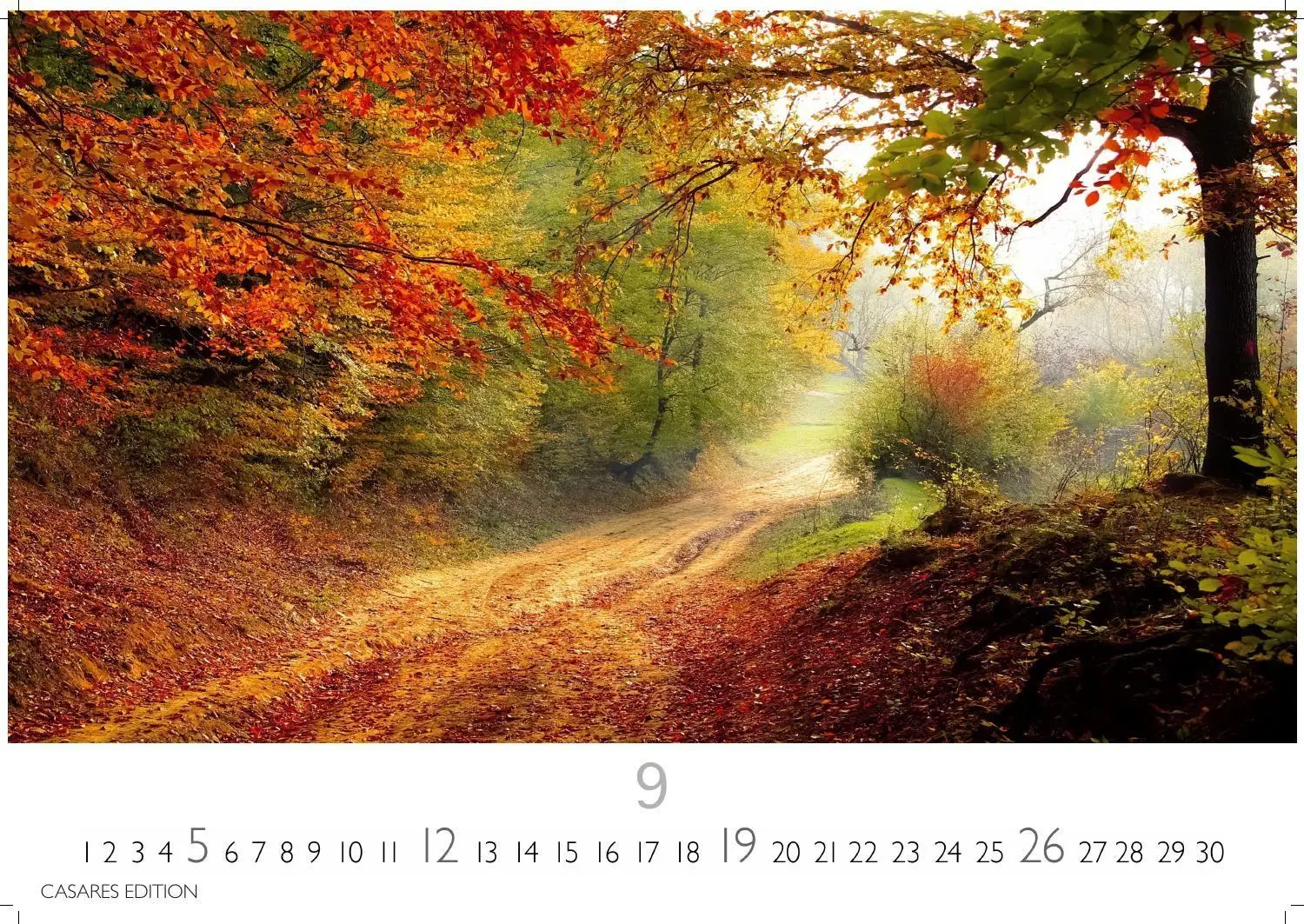 Bild: 9781835247648 | Wald &amp; Natur Kalender 2027 - Wandkalender Fotokalender...