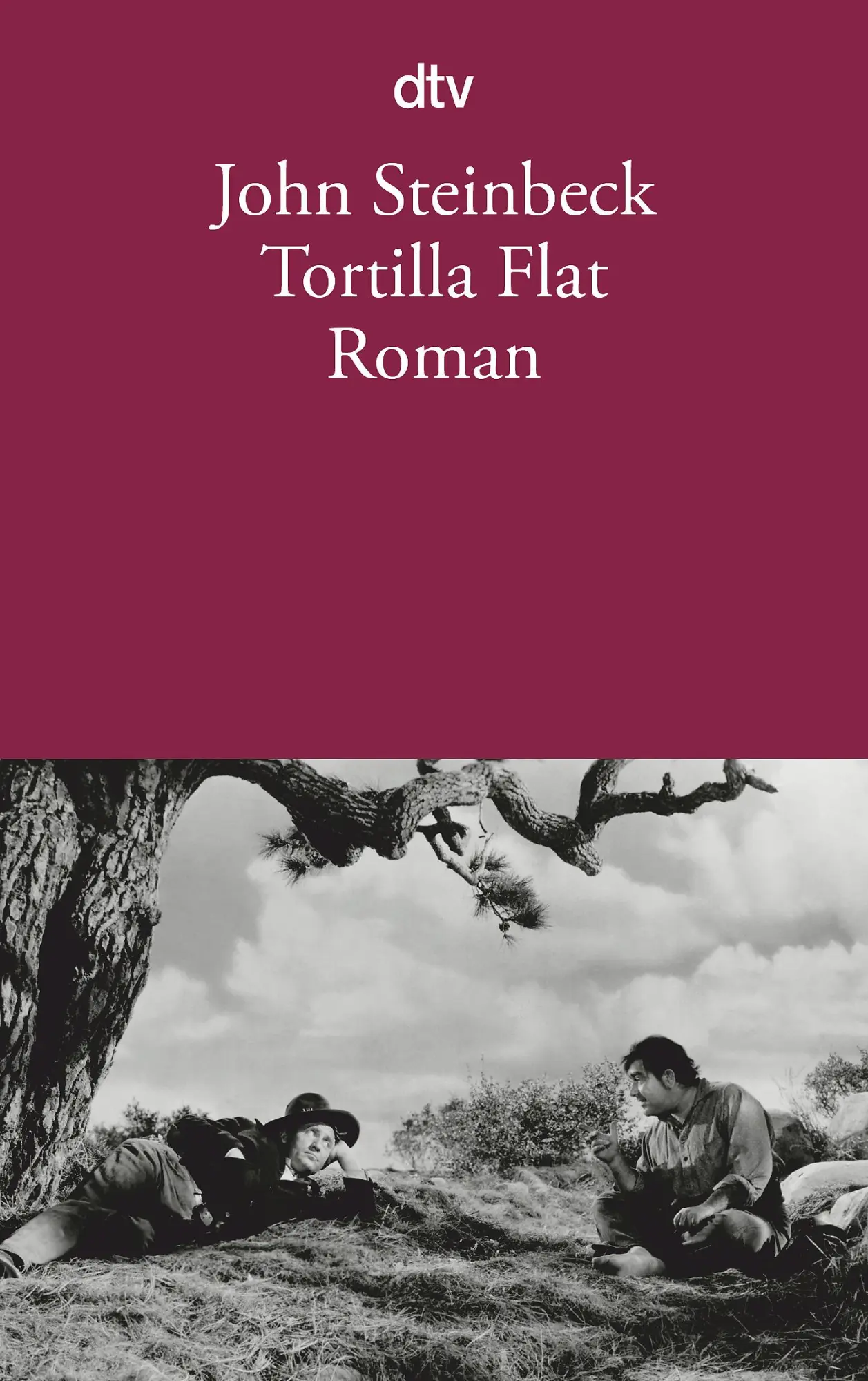 Cover: 9783423107648 | Tortilla Flat | John Steinbeck | Taschenbuch | 176 S. | Deutsch | 1987