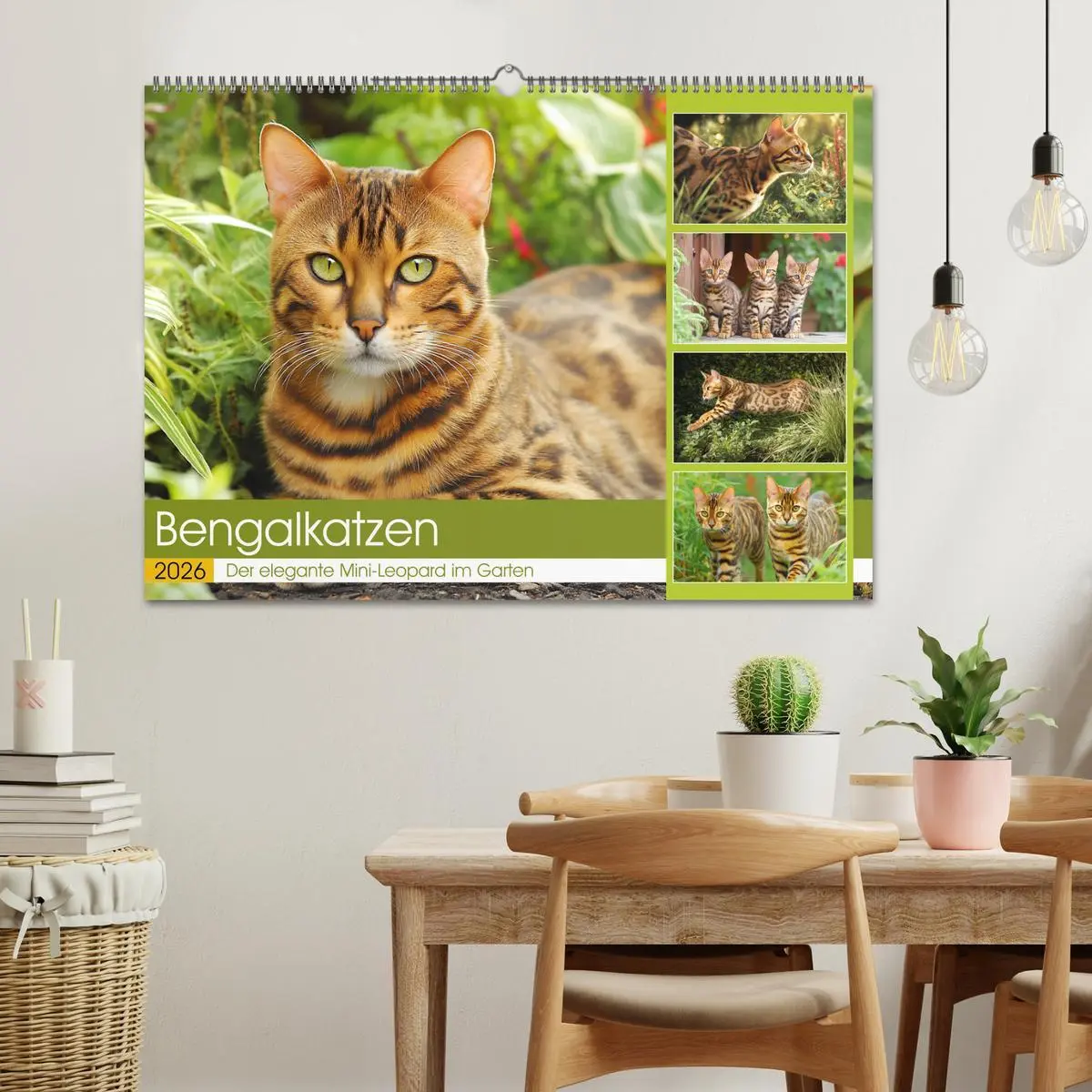 Bild: 9783516027648 | Bengalkatzen. Der elegante Mini-Leopard im Garten (Wandkalender...