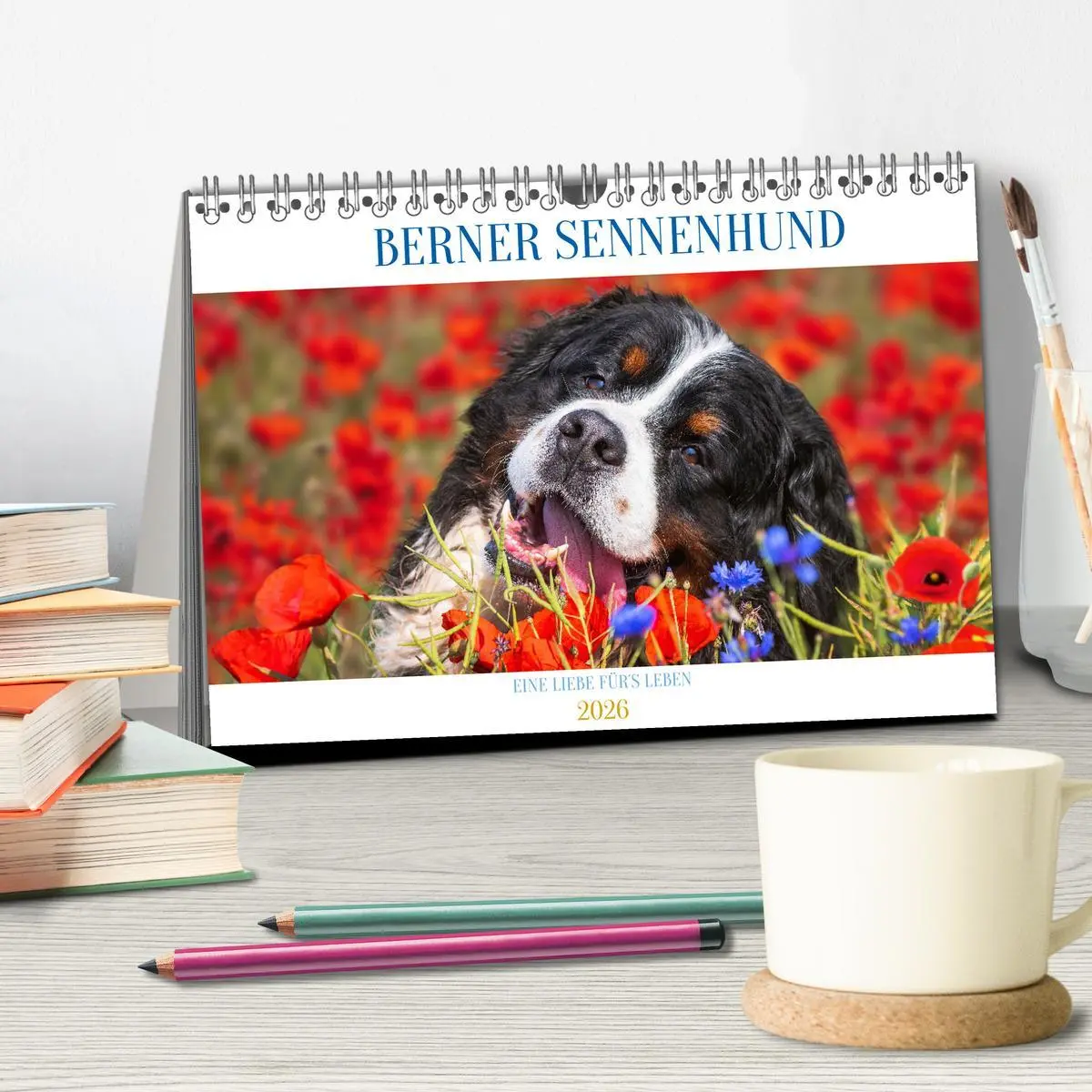 Bild: 9783457547748 | Berner Sennenhund - Eine Liebe für´s Leben (Tischkalender 2026 DIN...