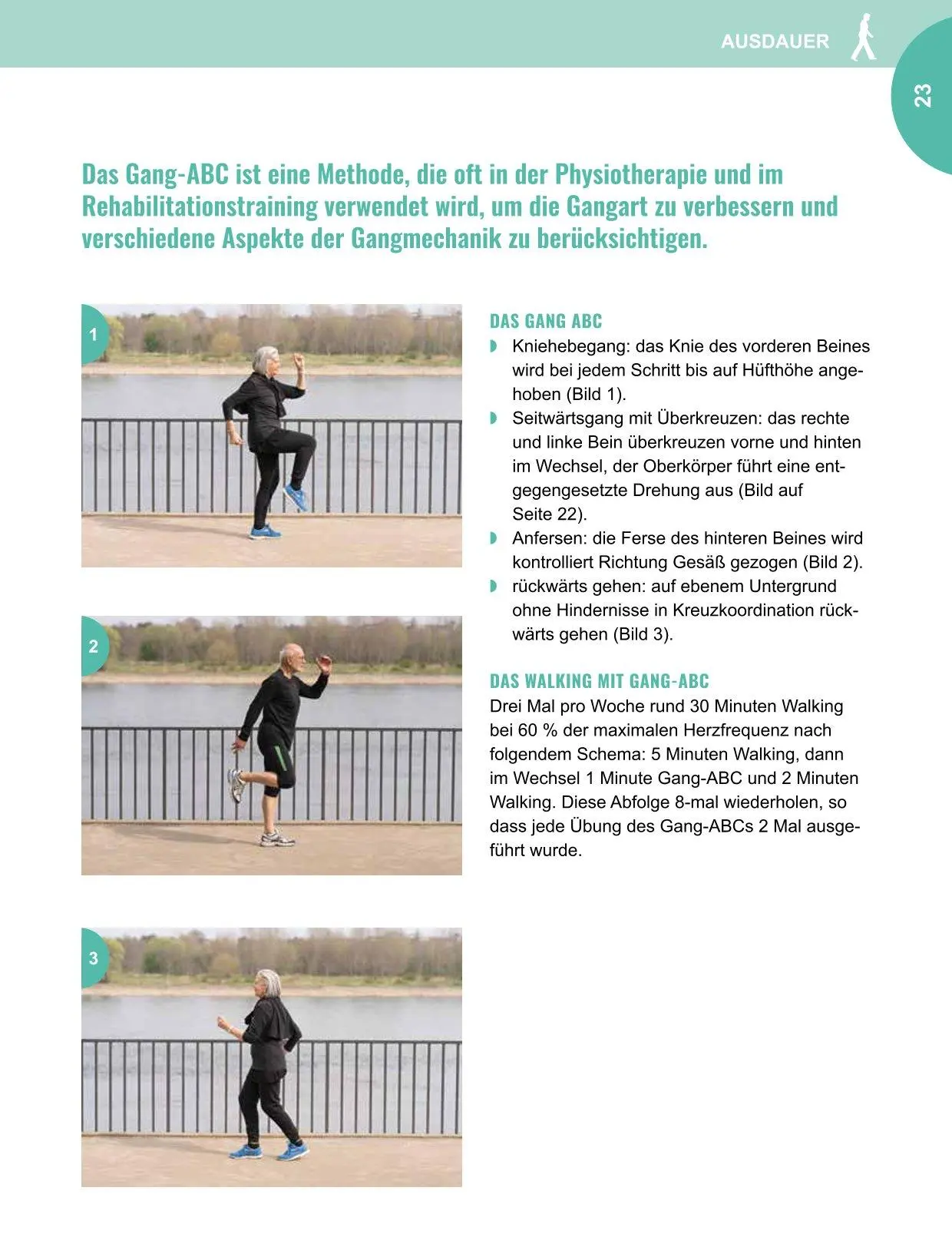 Bild: 9783966647748 | Fitness für Senioren - Gymnastik, Muskeltrainig, Stretching 60+ | Buch