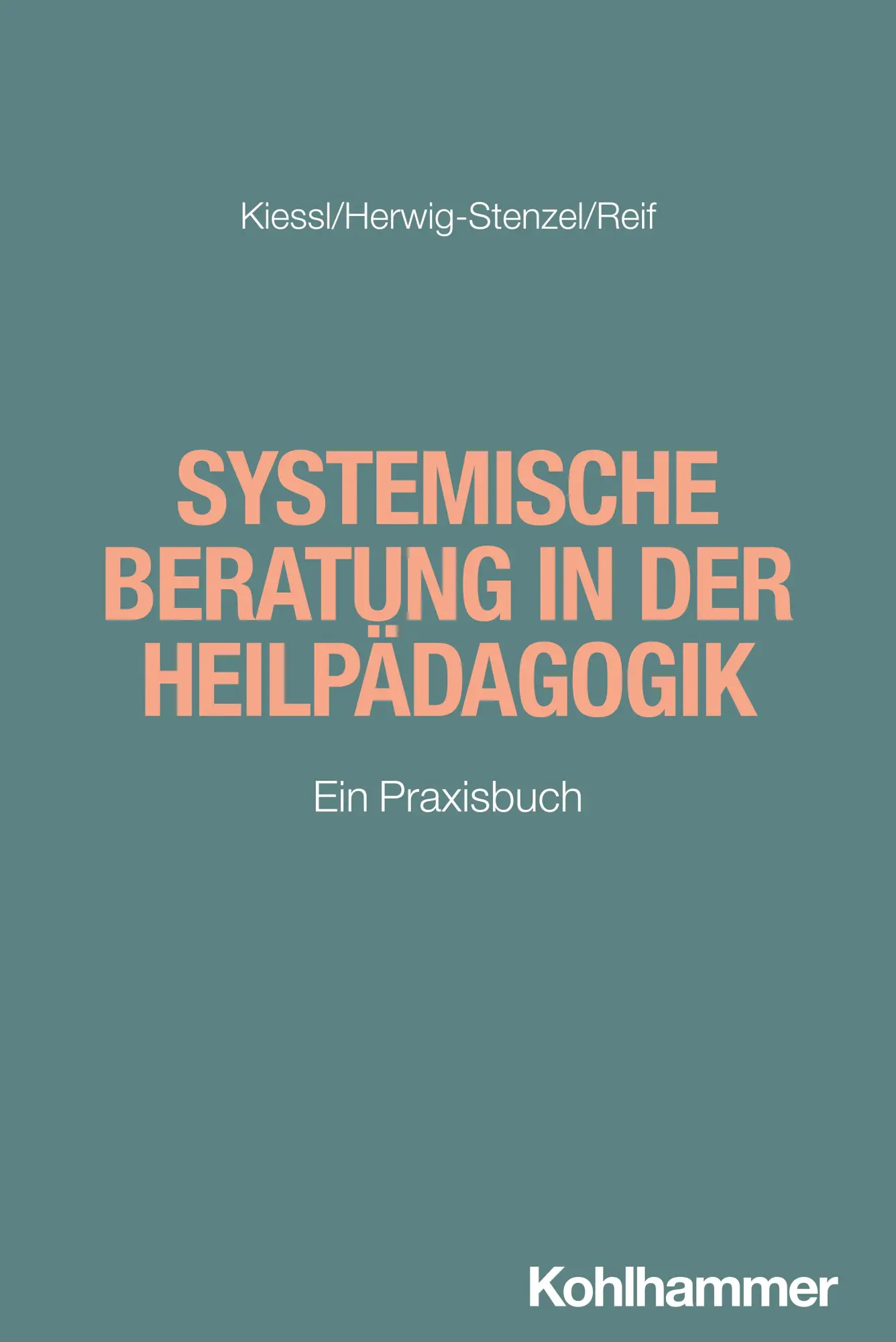 Cover: 9783170407848 | Systemische Beratung in der Heilpädagogik | Ein Praxisbuch | Buch
