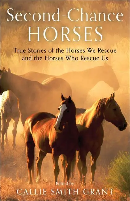 Cover: 9780800737948 | Second-Chance Horses | Callie Smith Grant | Taschenbuch | Englisch