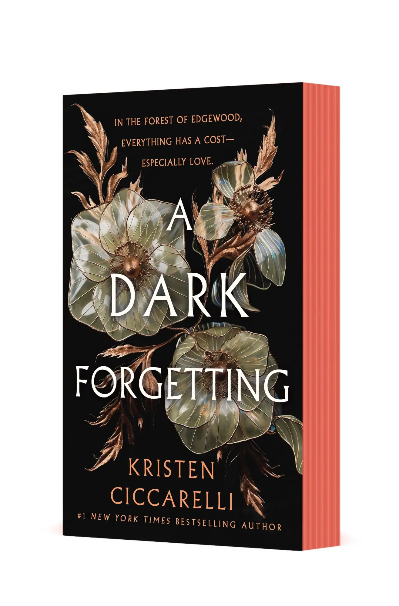 Cover: 9781250407948 | Dark Forgetting | A Novel | Kristen Ciccarelli | Taschenbuch | 2025