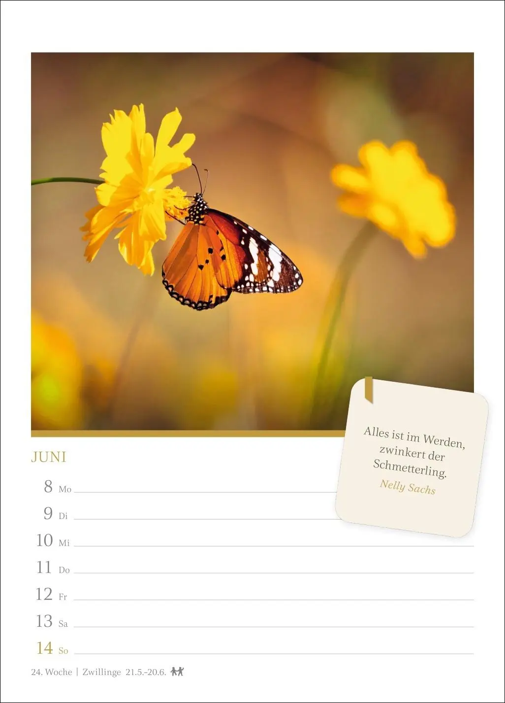 Bild: 9783840037948 | Momente der Achtsamkeit Wochenkalender 2026 - Wochenkalender mit...
