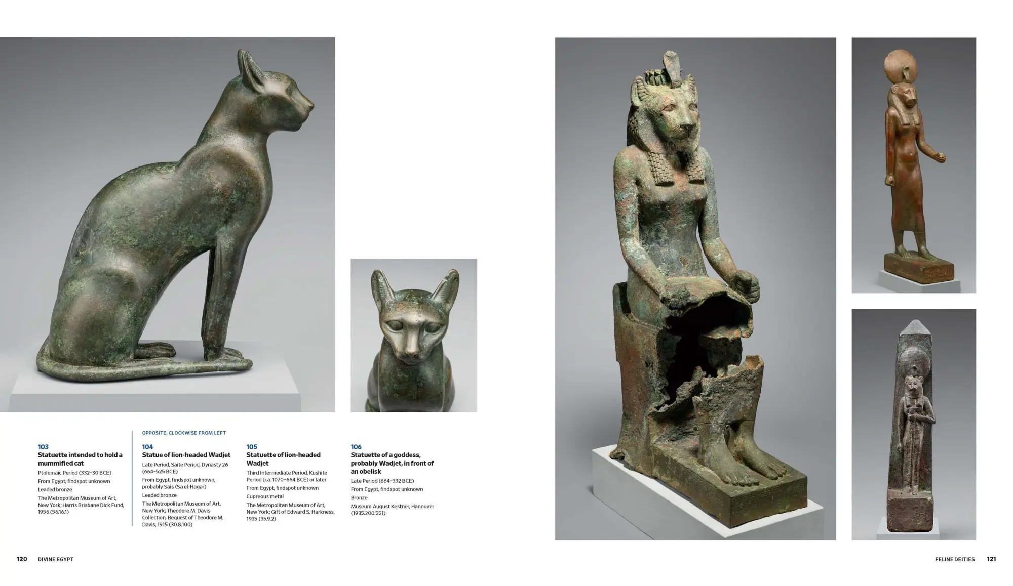 Bild: 9781588398048 | Divine Egypt | Diana Craig Patch (u. a.) | Buch | Englisch | 2025