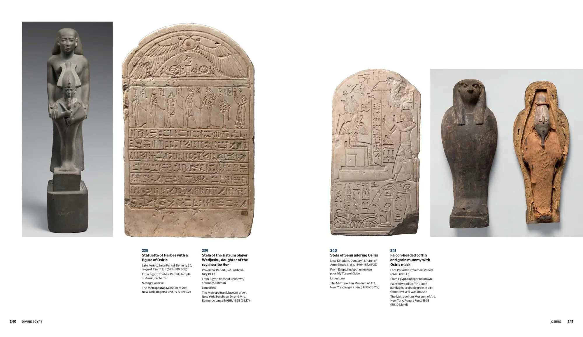Bild: 9781588398048 | Divine Egypt | Diana Craig Patch (u. a.) | Buch | Englisch | 2025