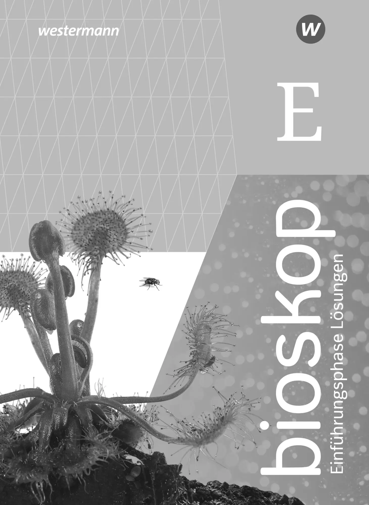 Cover: 9783141508048 | bioskop SII. Einführungsphase: Lösungen. Für Niedersachsen | Decker