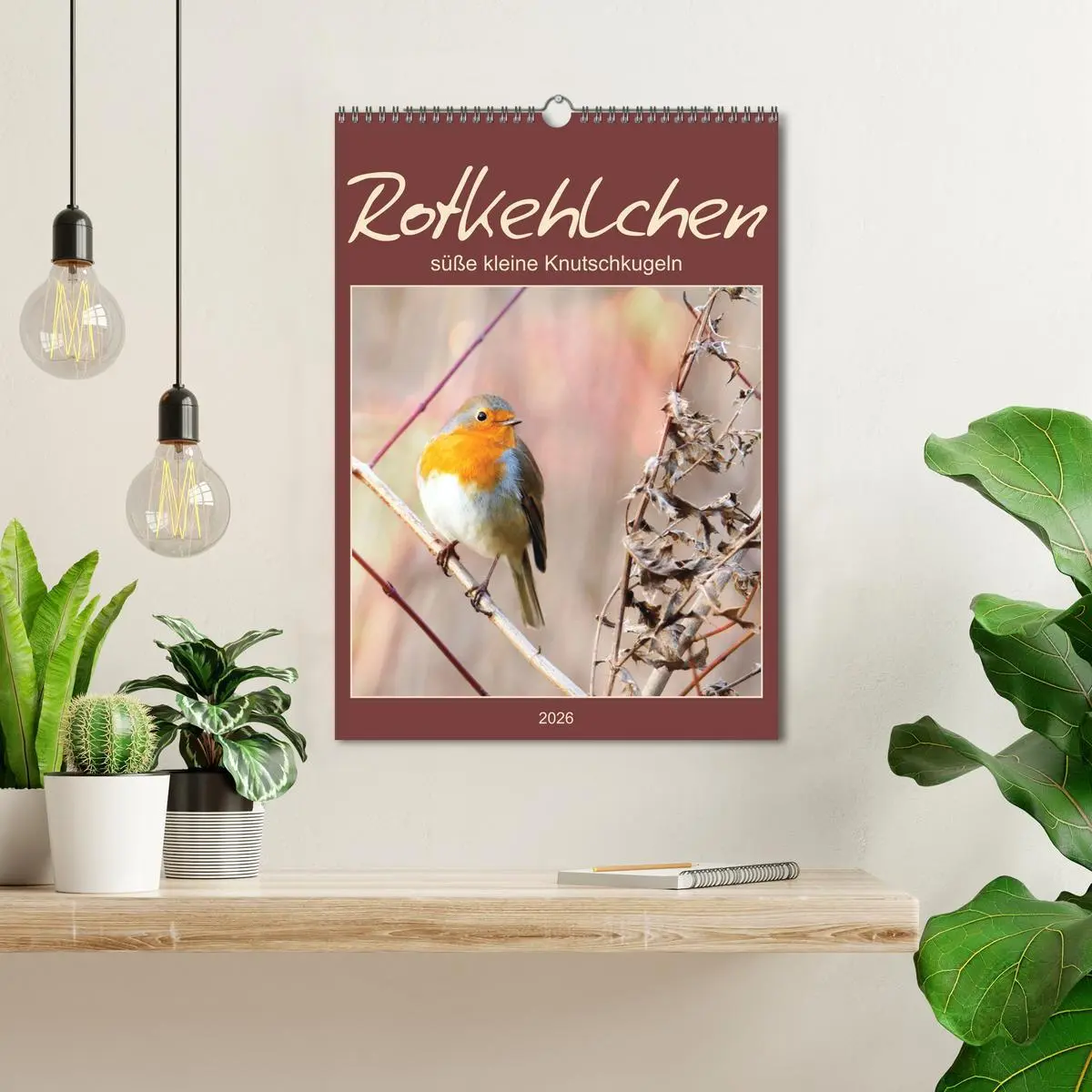 Bild: 9783516368048 | Rotkehlchen, süße kleine Knutschkugeln (Wandkalender 2026 DIN A3...