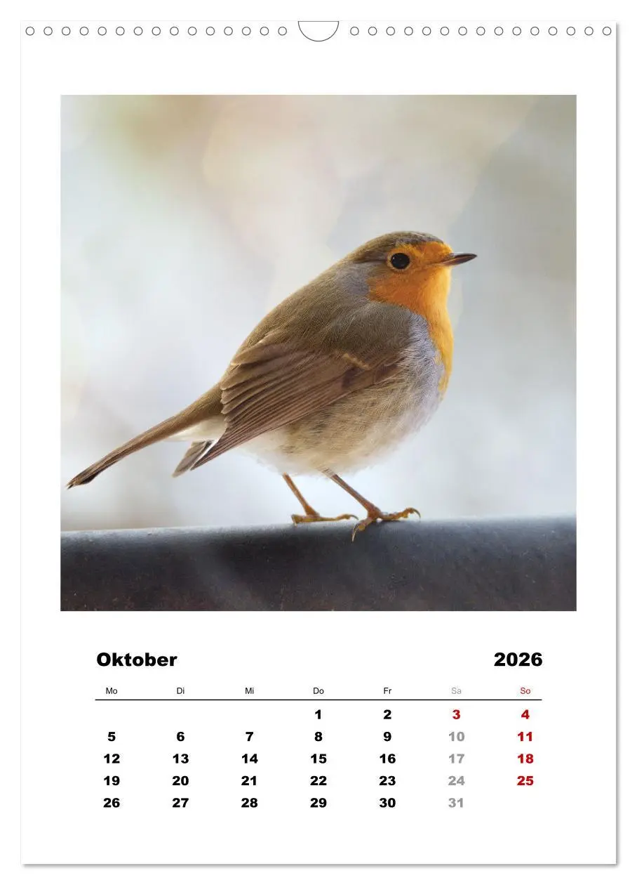 Bild: 9783516368048 | Rotkehlchen, süße kleine Knutschkugeln (Wandkalender 2026 DIN A3...