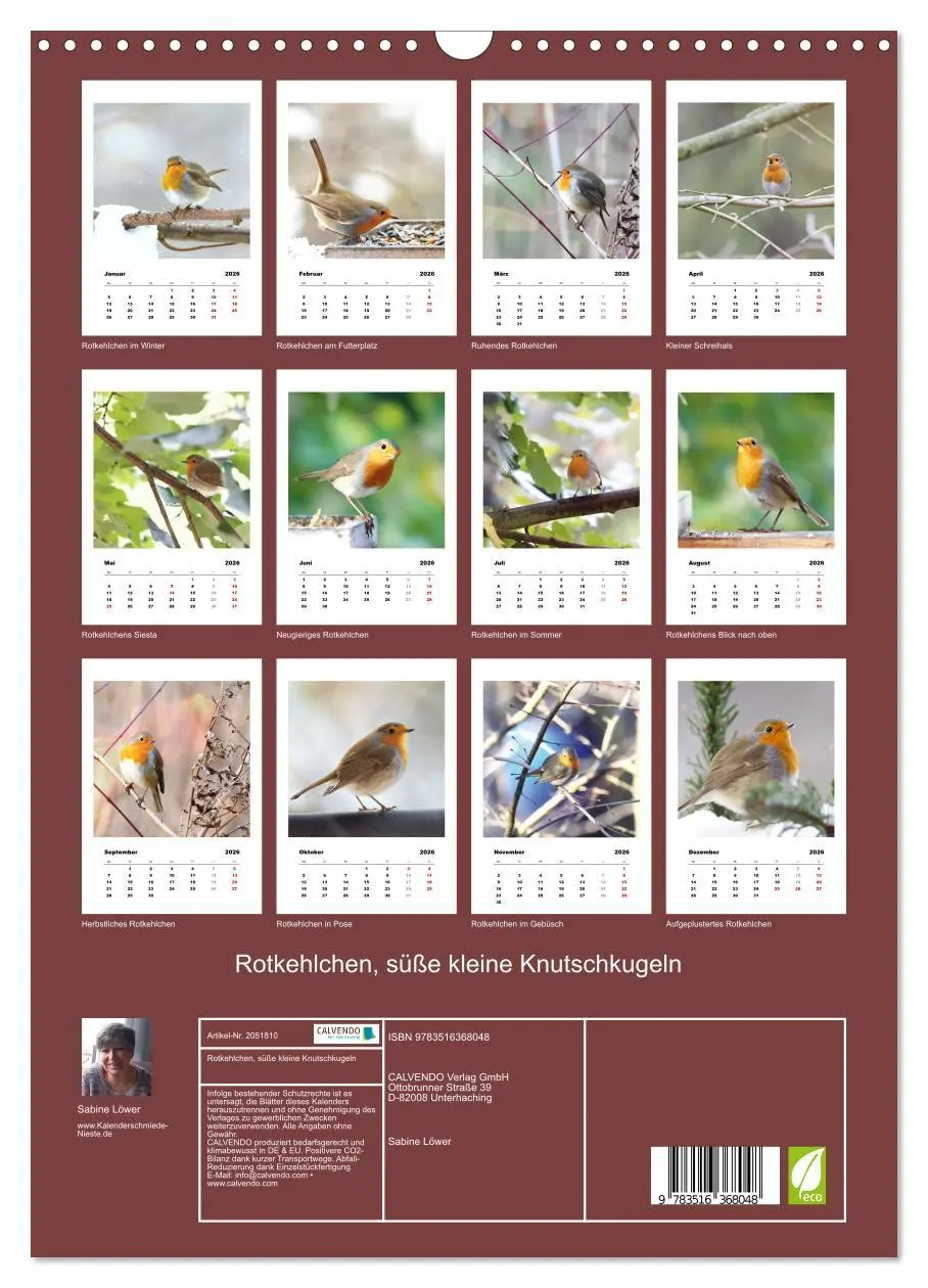 Bild: 9783516368048 | Rotkehlchen, süße kleine Knutschkugeln (Wandkalender 2026 DIN A3...