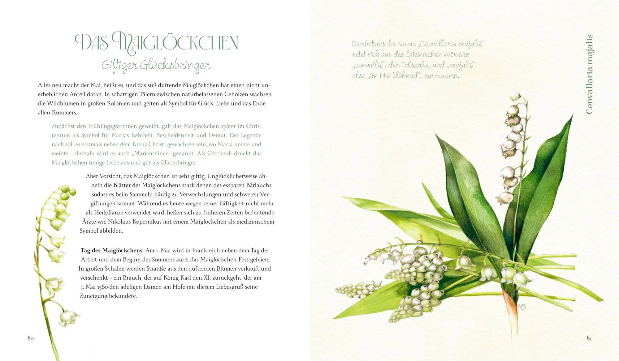 Bild: 9783649648048 | Vom Zauber der Blumen | Stefanie Zysk | Buch | Inspirationen | 144 S.