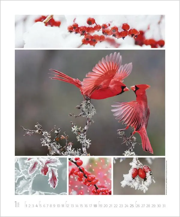 Bild: 9783731888048 | NaturGenuss 2026 | Verlag Korsch | Kalender | Spiralbindung | 14 S.