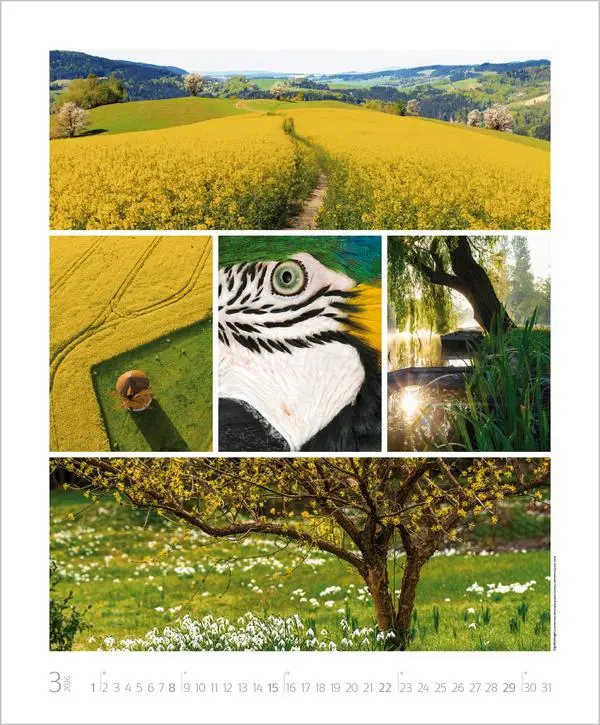 Bild: 9783731888048 | NaturGenuss 2026 | Verlag Korsch | Kalender | Spiralbindung | 14 S.