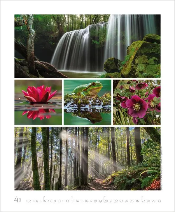 Bild: 9783731888048 | NaturGenuss 2026 | Verlag Korsch | Kalender | Spiralbindung | 14 S.