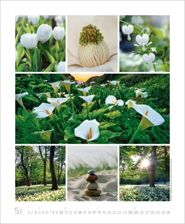 Bild: 9783731888048 | NaturGenuss 2026 | Verlag Korsch | Kalender | Spiralbindung | 14 S.