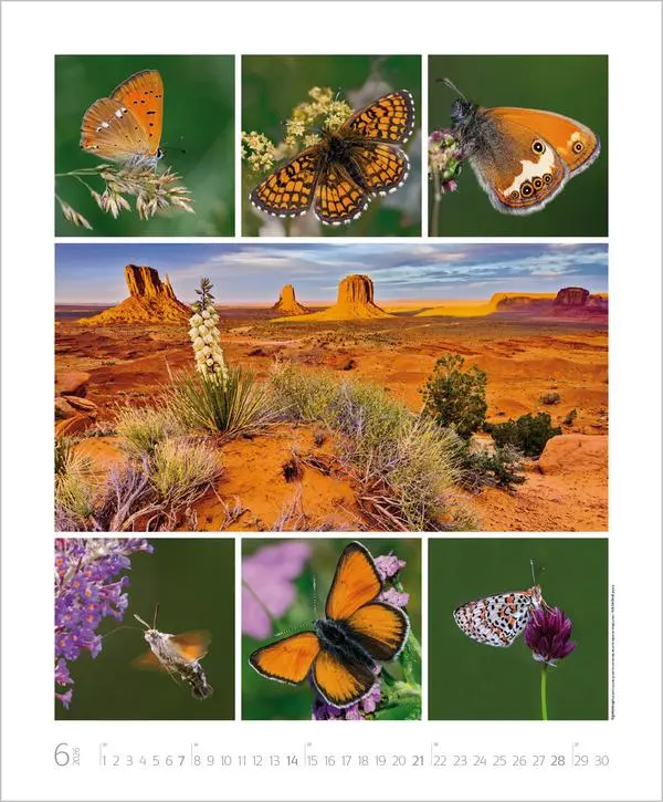 Bild: 9783731888048 | NaturGenuss 2026 | Verlag Korsch | Kalender | Spiralbindung | 14 S.