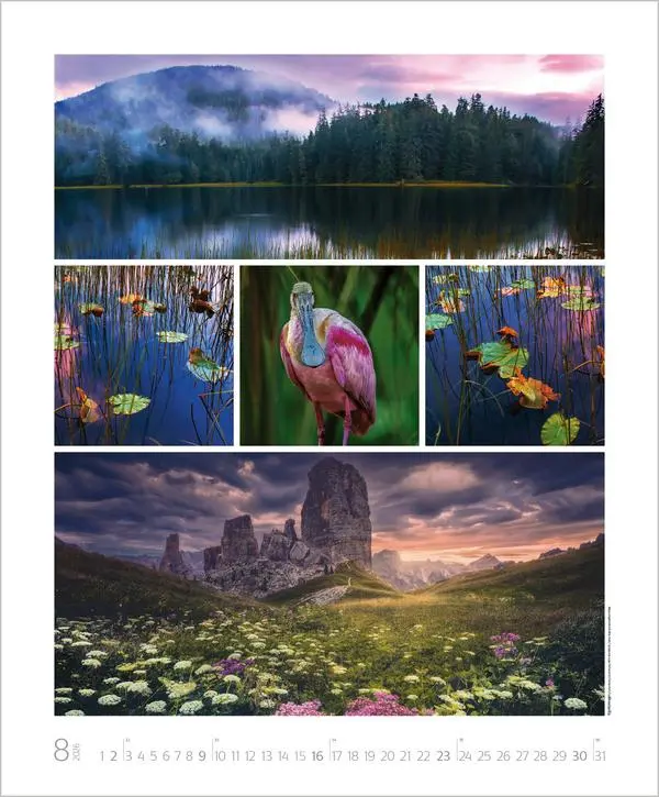 Bild: 9783731888048 | NaturGenuss 2026 | Verlag Korsch | Kalender | Spiralbindung | 14 S.