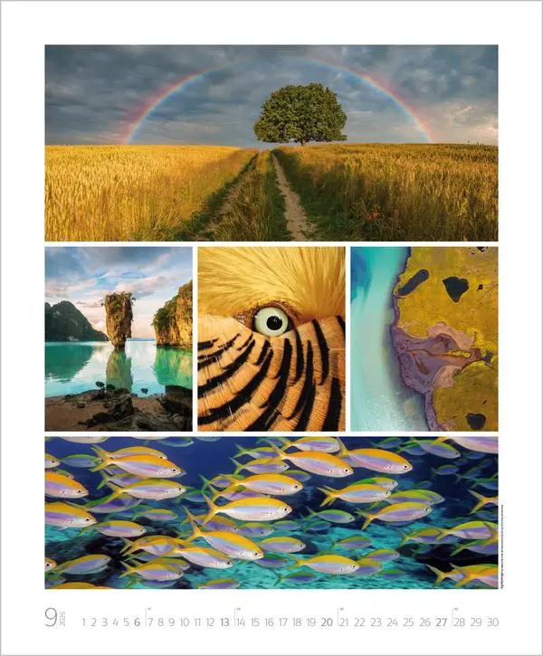 Bild: 9783731888048 | NaturGenuss 2026 | Verlag Korsch | Kalender | Spiralbindung | 14 S.