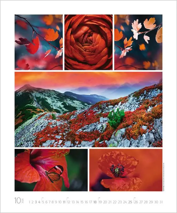 Bild: 9783731888048 | NaturGenuss 2026 | Verlag Korsch | Kalender | Spiralbindung | 14 S.