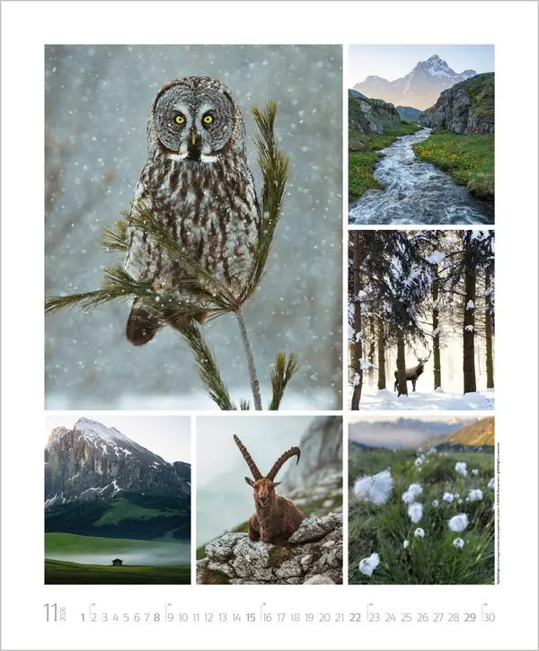 Bild: 9783731888048 | NaturGenuss 2026 | Verlag Korsch | Kalender | Spiralbindung | 14 S.