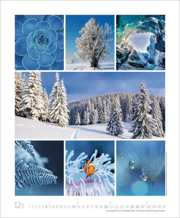 Bild: 9783731888048 | NaturGenuss 2026 | Verlag Korsch | Kalender | Spiralbindung | 14 S.