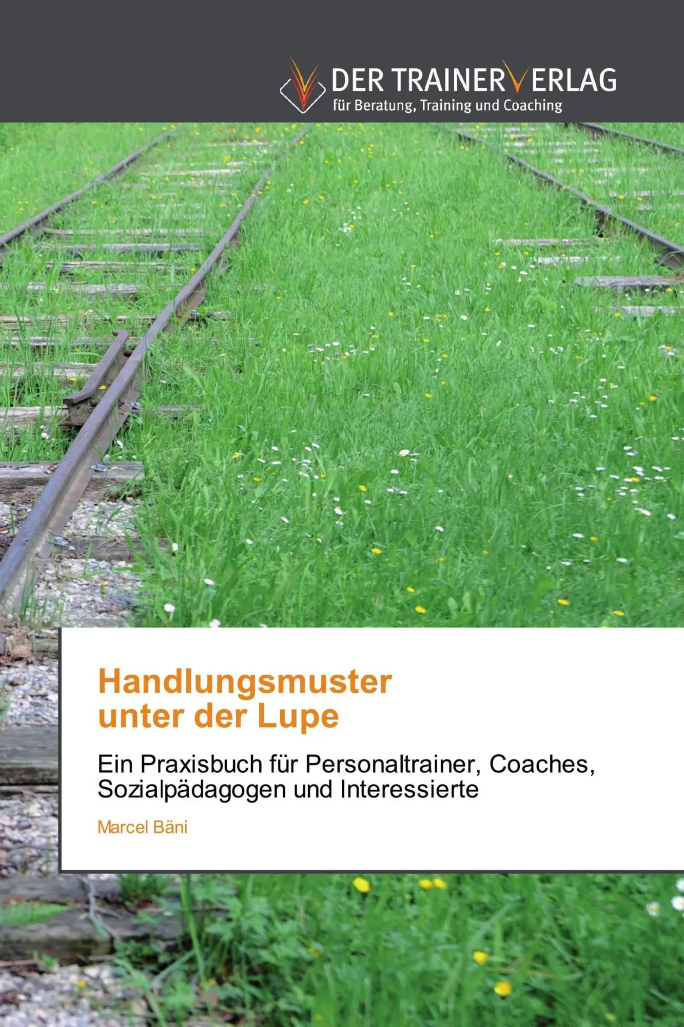 Cover: 9786200768148 | Handlungsmuster unter der Lupe | Marcel Bäni | Taschenbuch | 176 S.