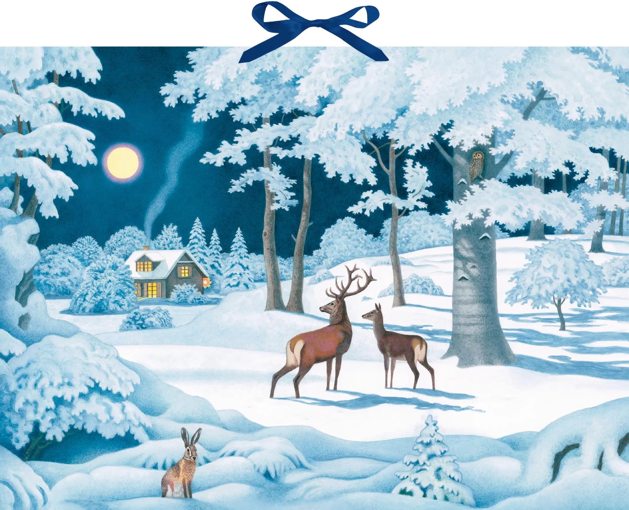 Cover: 4050003958248 | Wand-Adventskalender - Wintertiere bei Nacht | Thomas Müller | 1 S.