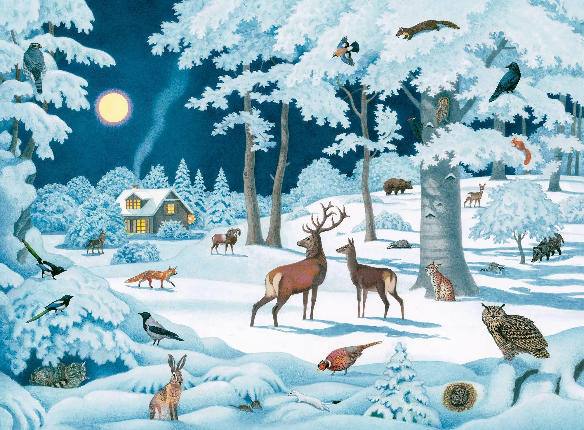Bild: 4050003958248 | Wand-Adventskalender - Wintertiere bei Nacht | Thomas Müller | 1 S.