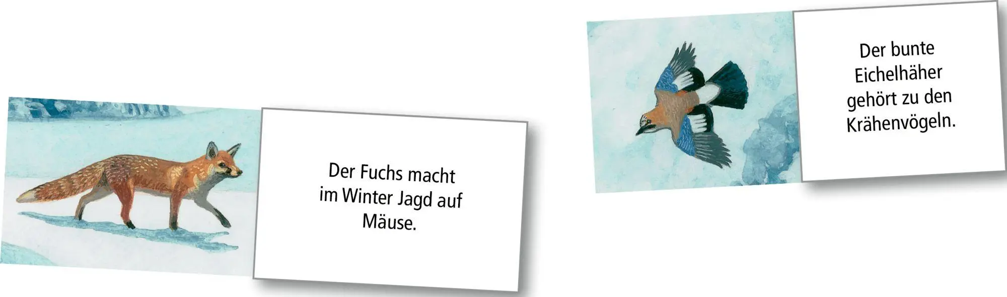 Bild: 4050003958248 | Wand-Adventskalender - Wintertiere bei Nacht | Thomas Müller | 1 S.