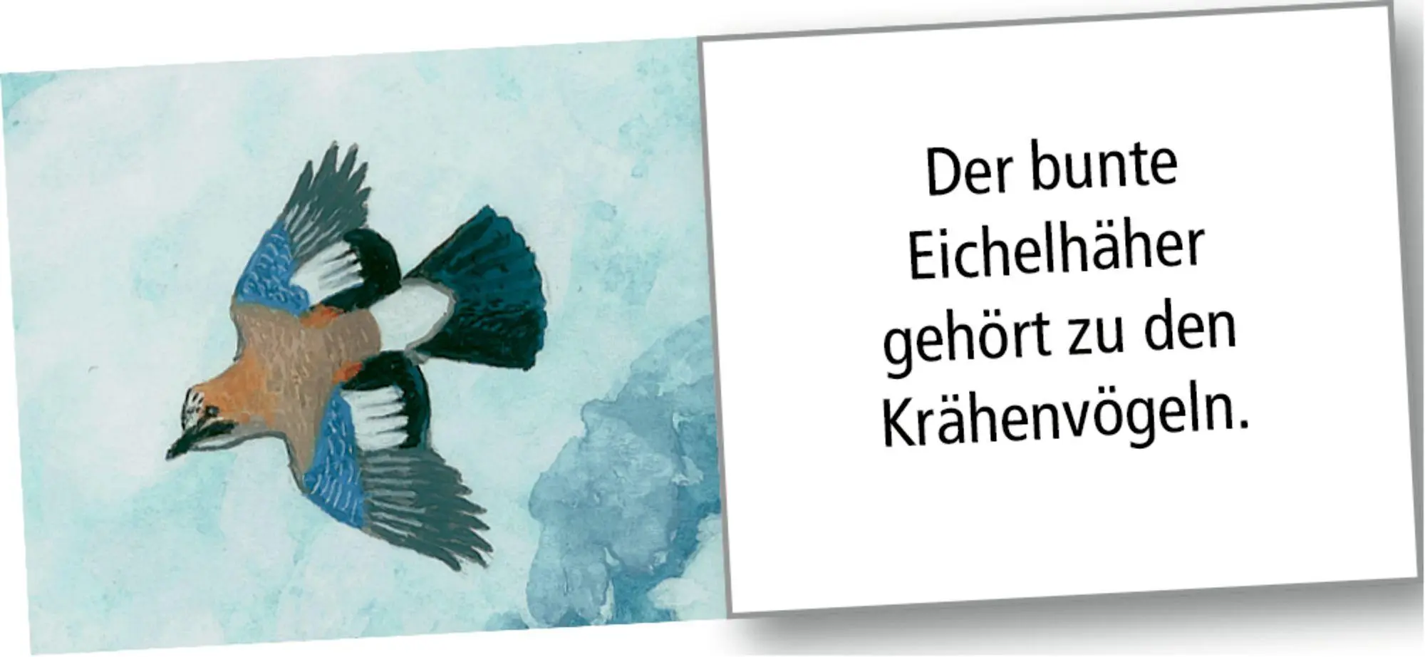 Bild: 4050003958248 | Wand-Adventskalender - Wintertiere bei Nacht | Thomas Müller | 1 S.