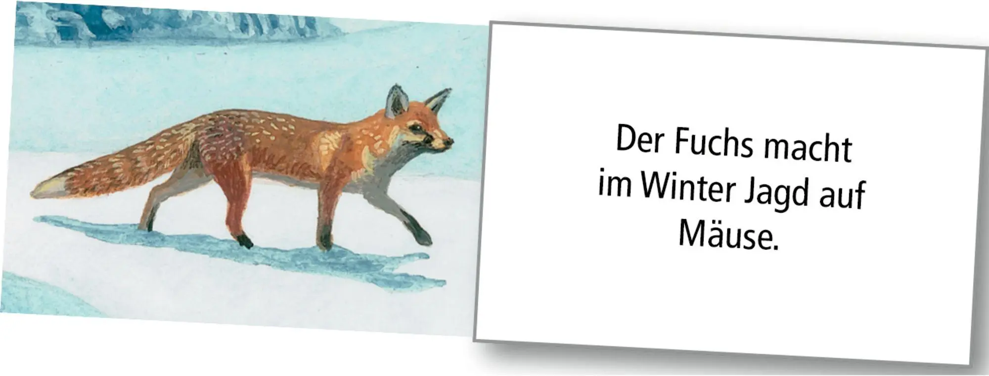 Bild: 4050003958248 | Wand-Adventskalender - Wintertiere bei Nacht | Thomas Müller | 1 S.