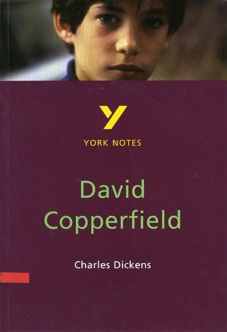 Cover: 9780582368248 | David Copperfield | Bernard Haughey | Taschenbuch | York Notes | 1998