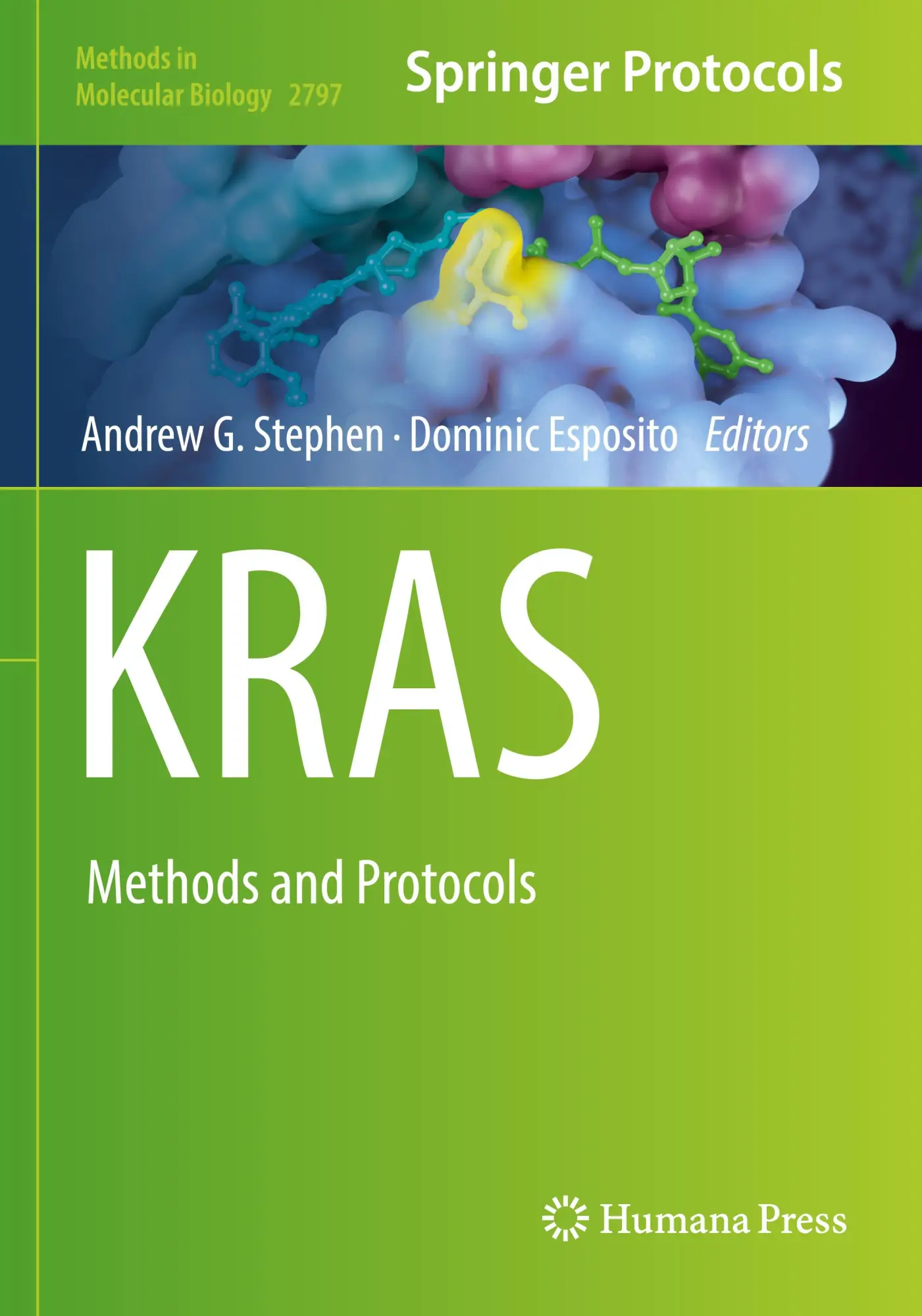 Cover: 9781071638248 | KRAS | Methods and Protocols | Andrew G. Stephen (u. a.) | Taschenbuch