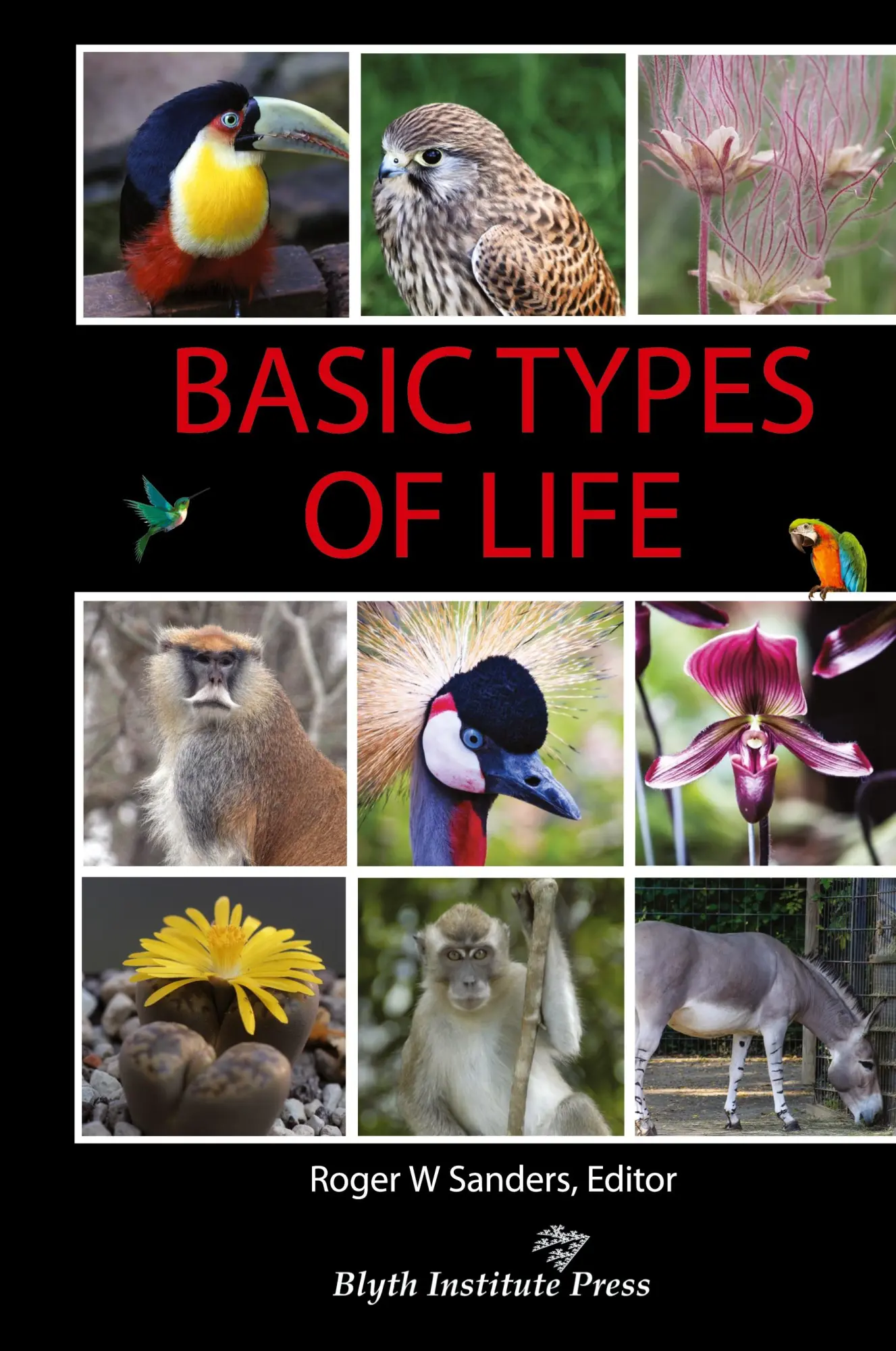 Cover: 9781944918248 | Basic Types of Life | Roger W Sanders | Buch | Englisch | 2025