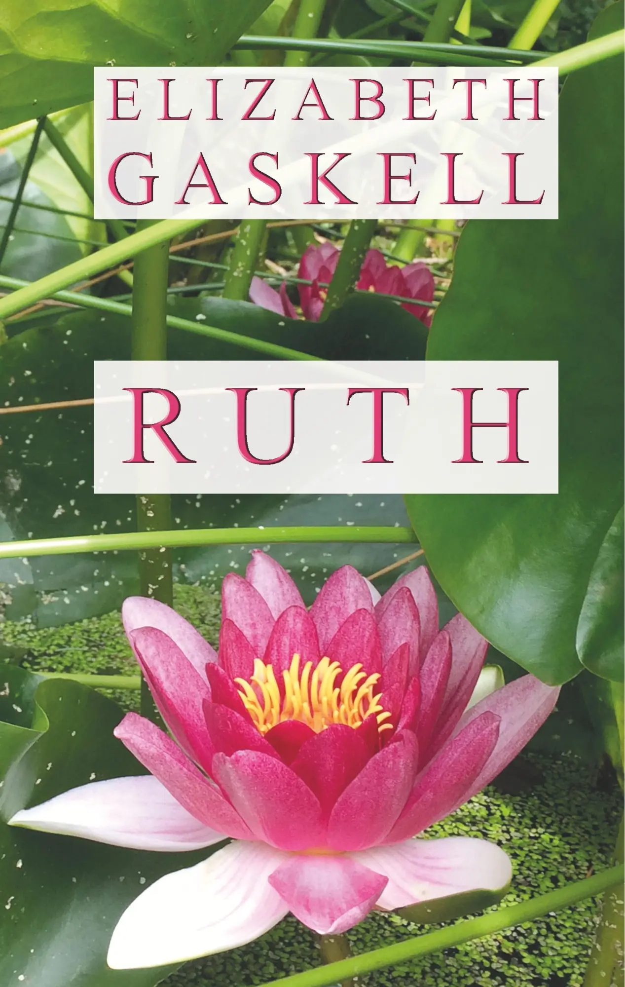Cover: 9783746028248 | Ruth | Elizabeth Gaskell | Buch | 524 S. | Deutsch | 2017