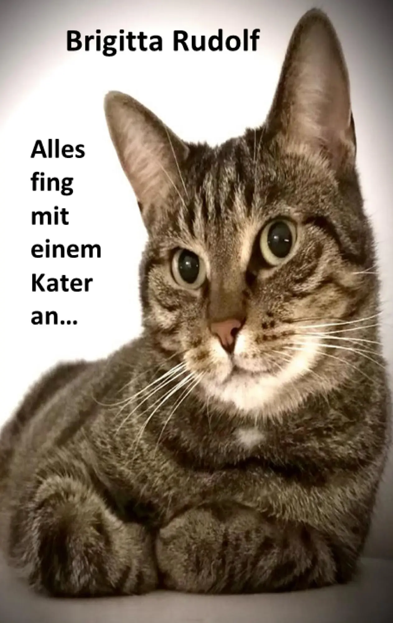 Cover: 9783759758248 | Alles fing mit einem Kater an | Brigitta Rudolf | Taschenbuch | 404 S.