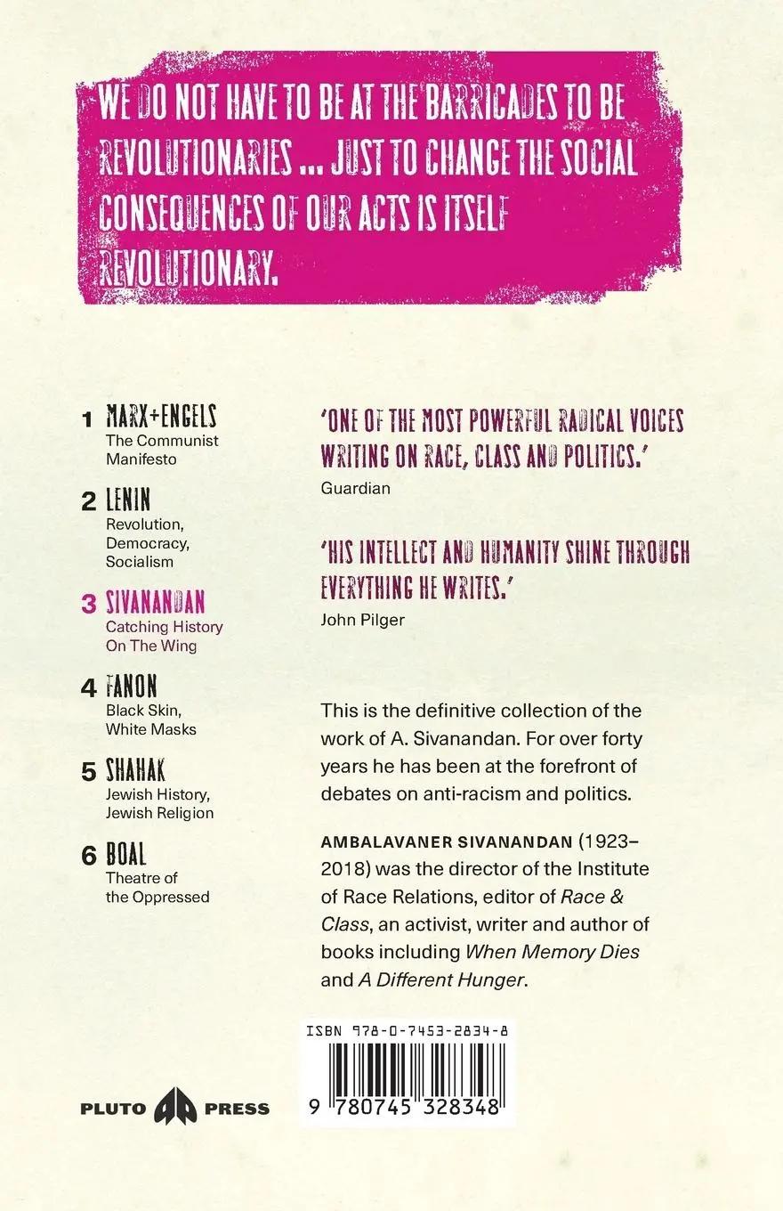 Rückseite: 9780745328348 | Catching History On The Wing | Race, Culture And Globalisation | Buch