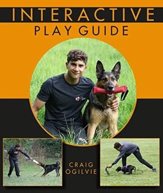 Cover: 9781910488348 | Interactive Play Guide | Craig Ogilvie | Taschenbuch | Englisch | 2017