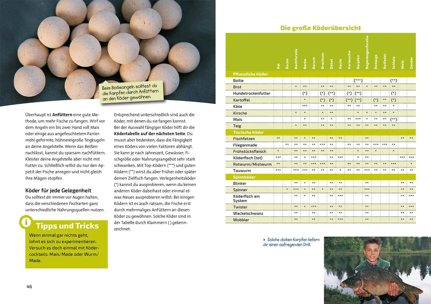 Bild: 9783440178348 | Das Angelbuch für Kids | Mit Fischsteckbriefen für Unterwegs | Gretler