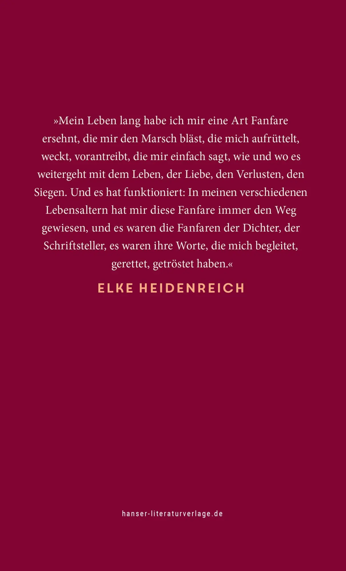 Bild: 9783446288348 | 'Ach, eine Fanfare!' | Liebesbekenntnisse zu Schriftstellern | Buch