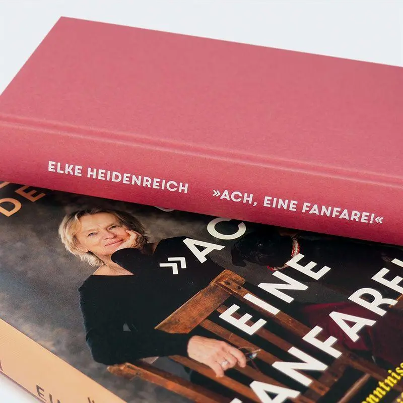 Bild: 9783446288348 | 'Ach, eine Fanfare!' | Liebesbekenntnisse zu Schriftstellern | Buch